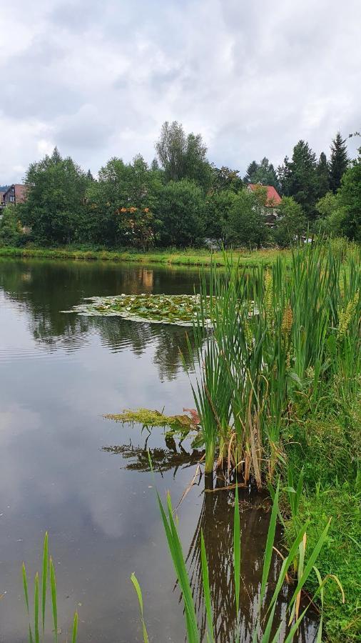 Apartmány RADOST Kovářská Esterno foto