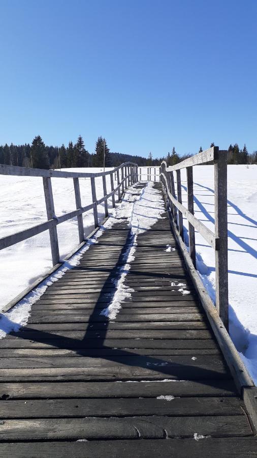 Apartmány RADOST Kovářská Esterno foto